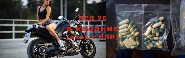 кокс Арсеньев