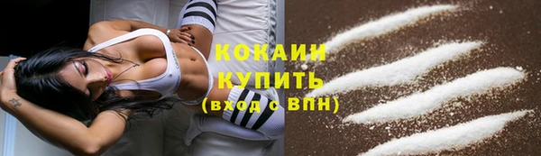 кокс Арсеньев