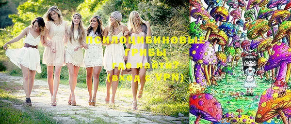 спиды Аркадак