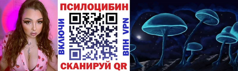 Галлюциногенные грибы Psilocybine cubensis  Усть-Катав 